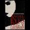 Angel Eyes audio book by Eric V. Lustbader