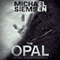 The Opal: Matt Turner, Book 2 (Unabridged) audio book by Michael Siemsen