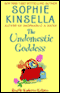 The Undomestic Goddess audio book by Sophie Kinsella