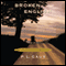 Broken English: An Amish-Country Mystery, Book 2 (Unabridged) audio book by P. L. Gaus