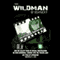 The Wildman of Kentucky: The Mystery of Panther Rock (Unabridged) audio book by Philip Spencer