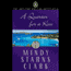 A Quarter for a Kiss: The Million Dollar Mysteries Book 4 (Unabridged) audio book by Mindy Starns Clark
