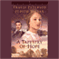 Lights of Lowell: Book 1, Tapestry of Hope (Unabridged) audio book by Tracie Peterson and Judith Miller
