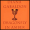 Dragonfly in Amber audio book