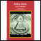 Fallen Idols (Unabridged) audio book by J.F. Freedman