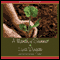 A Month of Summer (Unabridged) audio book by Lisa Wingate