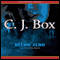 Below Zero (Unabridged) audio book by C.J. Box