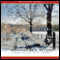 Fireflies in December (Unabridged) audio book by Jennifer Erin Valent
