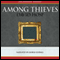 Among Thieves (Unabridged) audio book by David Hosp