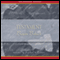 Testament: A Soldier's Story of the Civil War (Unabridged) audio book by Benson Bobrick