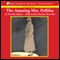 The Amazing Mrs. Pollifax (Unabridged) audio book by Dorothy Gilman