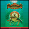 The Fantastic Secret of Owen Jester (Unabridged) audio book by Barbara O'Connor