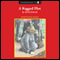 A Ragged Plot (Unabridged) audio book by Richard Barth