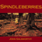 Spindleberries (Unabridged) audio book by John Galsworthy