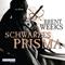 Schwarzes Prisma audio book by Brent Weeks