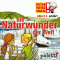 Albert E. erklrt die Naturwunder der Welt (Ich wei was) audio book by Melle Siegfried