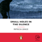 Small Holes in the Silence (Unabridged) audio book by Patricia Grace