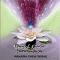 Wunschkind-Meditation audio book by Dietmar Salzburg