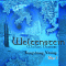 Weltenstein Nr. 1 audio book by Michael Derbort