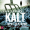 Kalt geht der Wind. Inka Luhmann ermittelt im Sauerland audio book by Oliver Welter, Michael Gantenberg