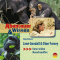 Jane Goodall & Dian Fossey. Unter wilden Menschenaffen (Abenteuer & Wissen) audio book by Maja Nielsen