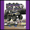 Monster Truck Racing (Unabridged)