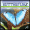 Butterflies (Unabridged) audio book by Jason Cooper