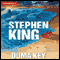 Duma Key: A Novel (Unabridged) audio book by Stephen King