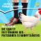 Die sanfte Entfhrung des Potsdamer Strumpftrgers audio book by Christian Ritter