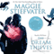 The Dream Thieves: Raven Cycle Series, Book 2 (Unabridged) audio book by Maggie Stiefvater