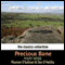 Precious Bane audio book by Mary Webb