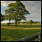 Winesburg, Ohio (Unabridged) audio book by Sherwood Anderson