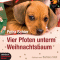 Vier Pfoten unterm Weihnachtsbaum audio book by Petra Schier