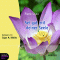 Sei gut mit deiner Seele audio book by Pierre Stutz