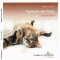 Tagebuch einer Katze audio book by Remco Campert
