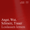 Angst, Wut, Schmerz, Trauer loslassen lernen audio book by Franziska Diesmann