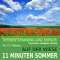 11 Minuten Sommer. Tiefenentspannung ganz einfach! Auf der Wiese - Traumreise, Autogenes Training audio book by Franziska Diesmann, Torsten Abrolat