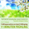 11 Minuten Frhling. Tiefenentspannung ganz einfach! Frhlingserwachen an einem Frhlingstag - Traumreise, Autogenes Training audio book by Franziska Diesmann, Torsten Abrolat