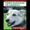 From Baghdad to America: Life Lessons from a Dog Named Lava (Unabridged) audio book by Jay Kopelman