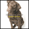 Inside of a Dog: What Dogs See, Smell, and Know (Unabridged)