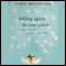 Falling Apart in One Piece: One Optimist's Journey Through the Hell of Divorce (Unabridged) audio book by Stacy Morrison