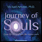Journey of Souls: Case Studies of Life Between Lives (Unabridged) audio book by Michael Newton