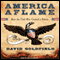 America Aflame: How the Civil War Created a Nation (Unabridged)