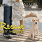 Rescue My Heart: An Animal Magnetism Novel, Book 3 (Unabridged) audio book by Jill Shalvis