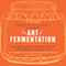 The Art of Fermentation: An In-Depth Exploration of Essential Concepts and Processes from Around the World (Unabridged) audio book by Sandor Ellix Katz