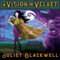 A Vision in Velvet: A Witchcraft Mystery, Book 6 (Unabridged) audio book by Juliet Blackwell