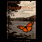 Sarah's Wish (Unabridged) audio book by Jim Baumgardner