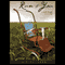 Run to You: A Guide through Miscarriage audio book by Sarah Siu