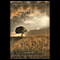 Sarah's Escape (Unabridged) audio book by Jim Baumgardner