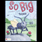 So Big: A Cricket's Journey to His Purpose (Unabridged)